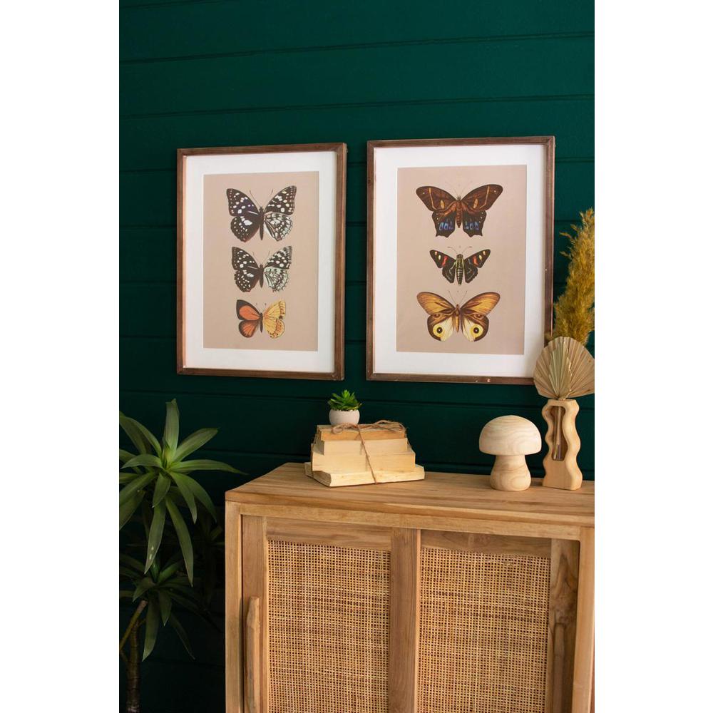 Set Of Two Framed Butterfly Prints Under Glass. Picture 2