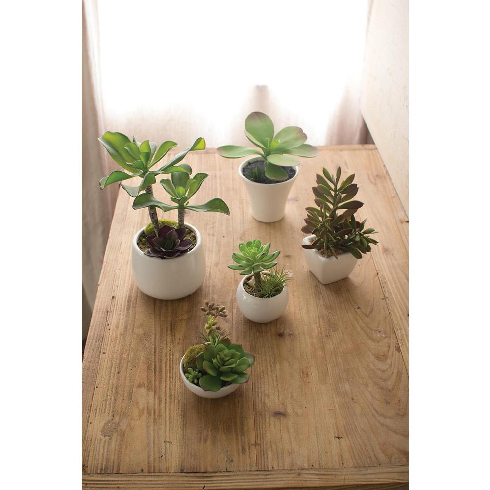 Set Of Five Artificial Succulents W White Ceramic Pots. Picture 2