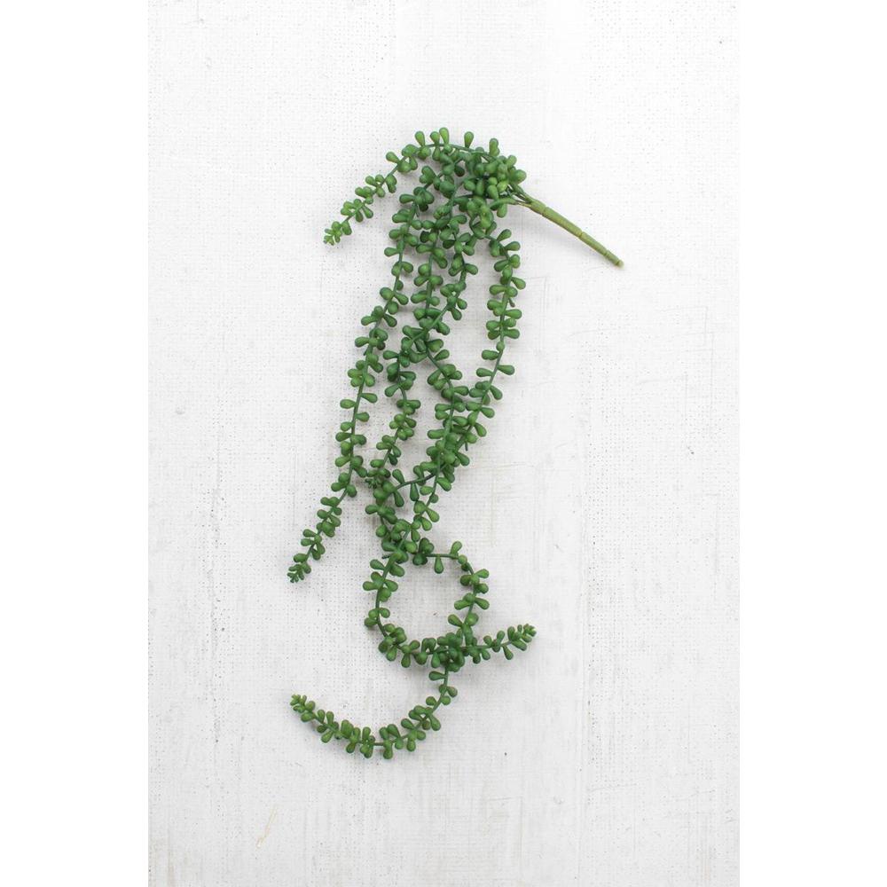 Artificial Necklace Fern Succulent. Picture 2