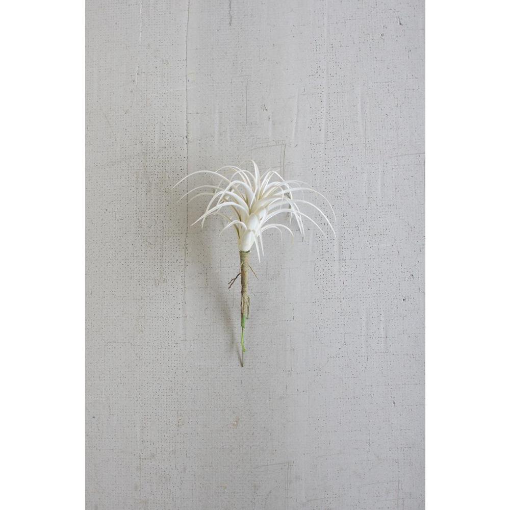 White Air Plant Small. Picture 2
