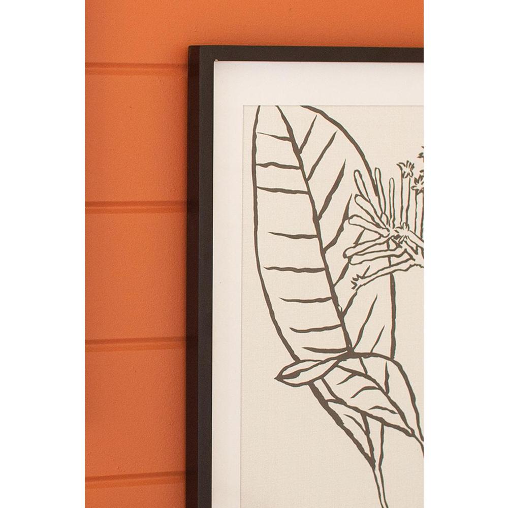 Set Of Two Leaf Prints Under Glass With Black Frame – 18” X 23.5”T. Picture 3