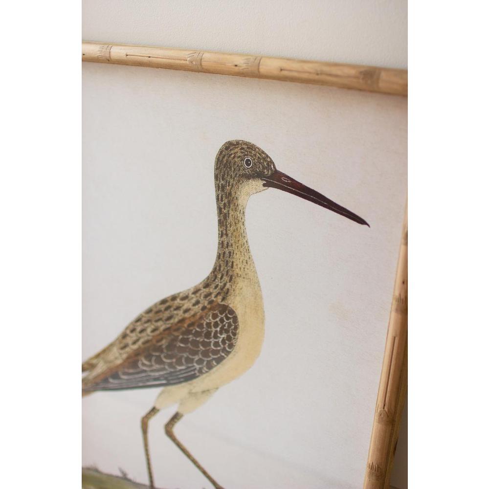 Set Of Two Framed Shorebirds Under Glass. Picture 4