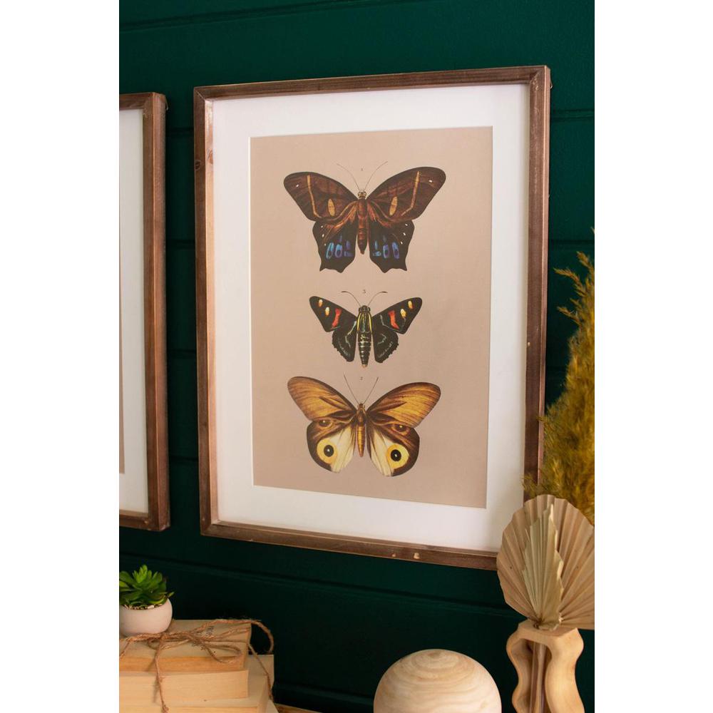 Set Of Two Framed Butterfly Prints Under Glass. Picture 3