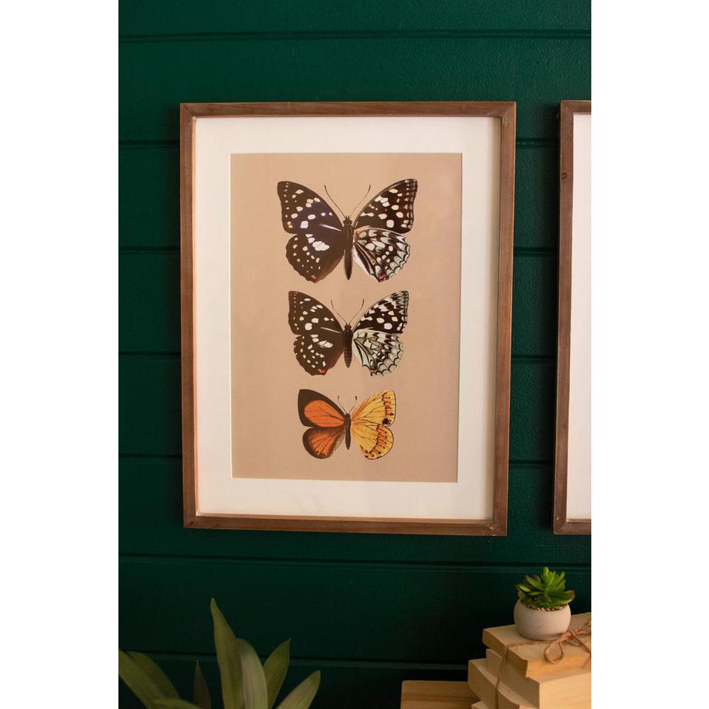 Set Of Two Framed Butterfly Prints Under Glass. Picture 5