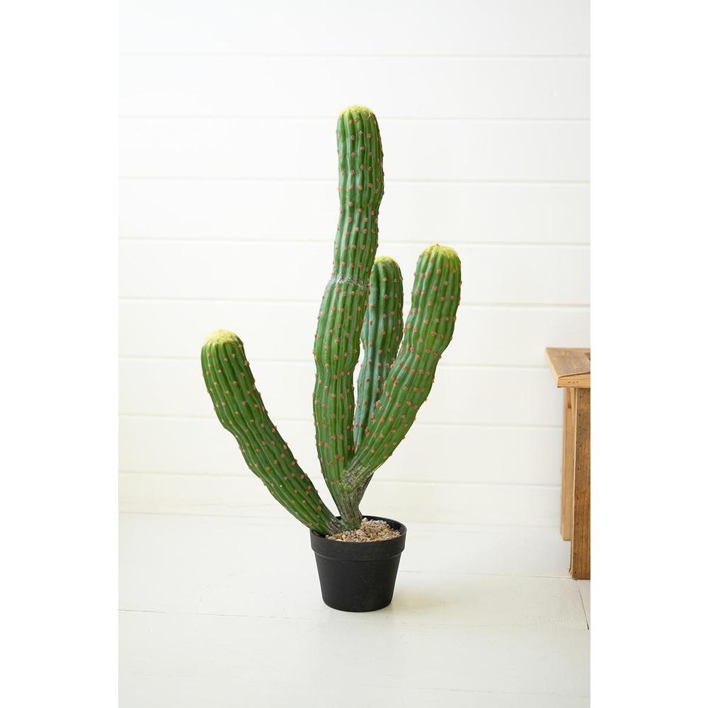 Artificial Multi Trunk Cactus In A Plastic Pot. Picture 1