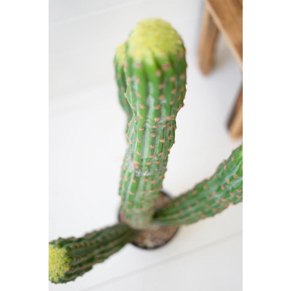 Artificial Multi Trunk Cactus In A Plastic Pot. Picture 3