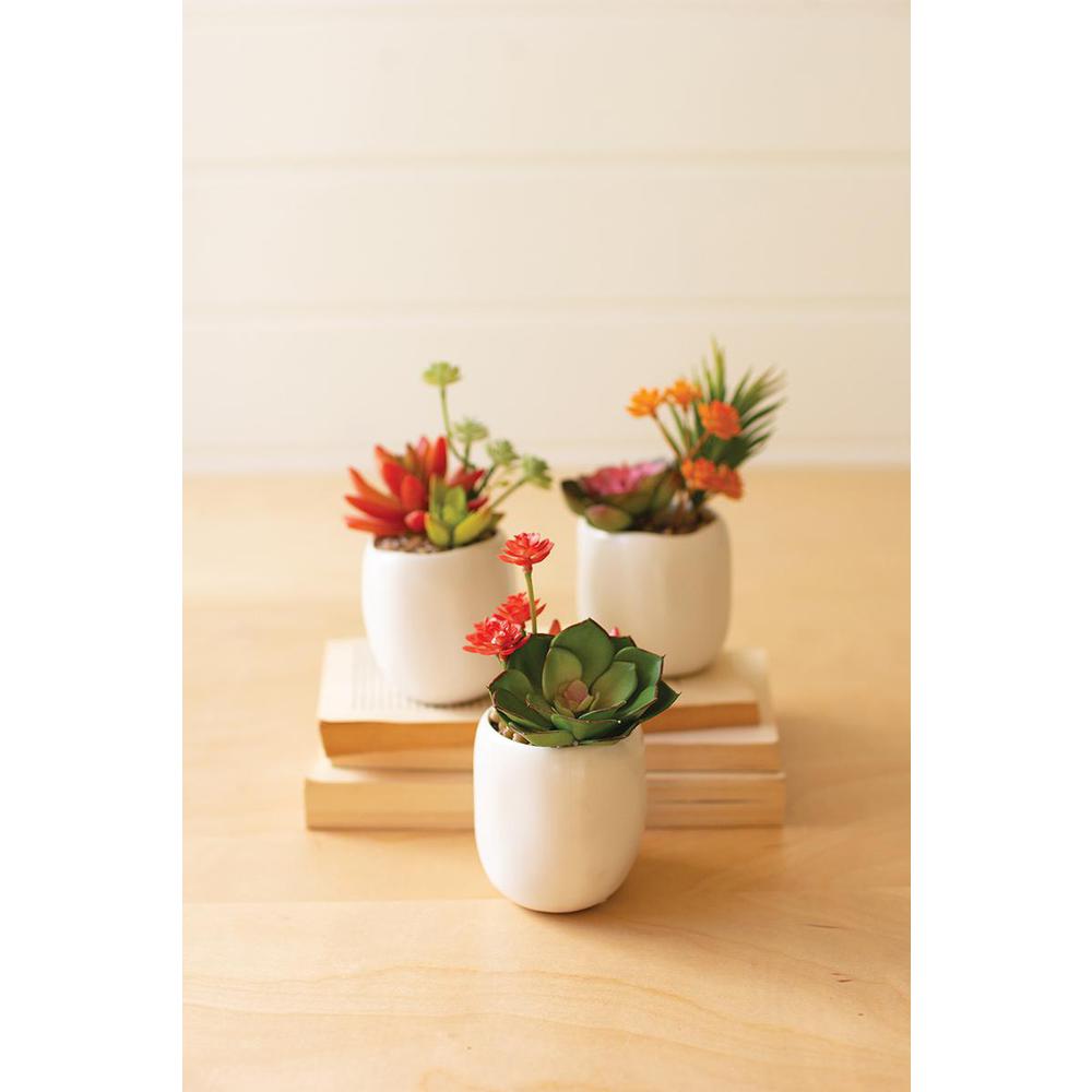 Set Of Three Artificial Succulent Plants In A White Pot. Picture 1