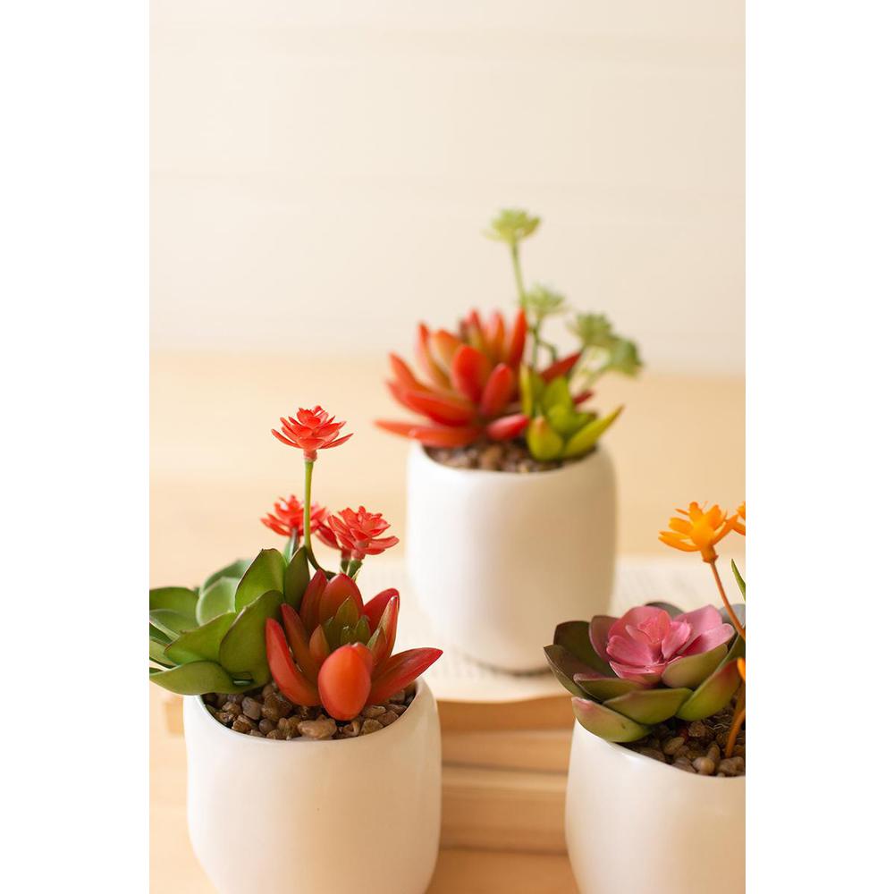 Set Of Three Artificial Succulent Plants In A White Pot. Picture 3