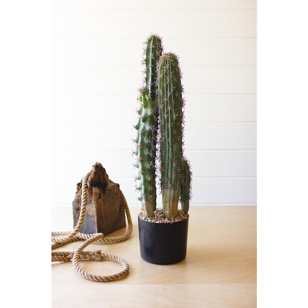 Artificial Cactus In A Black Plastic Pot With Five Stems. Picture 1