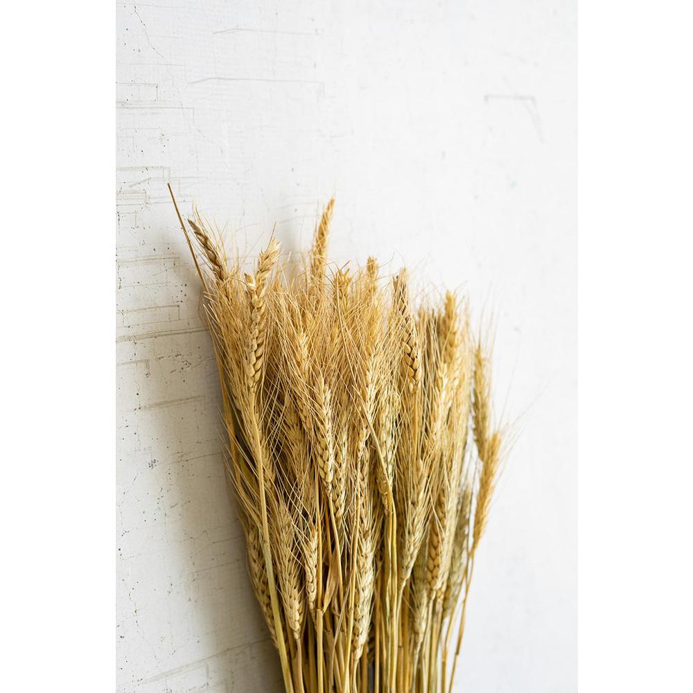Bundle Of Natural Wheat Stems. Picture 3