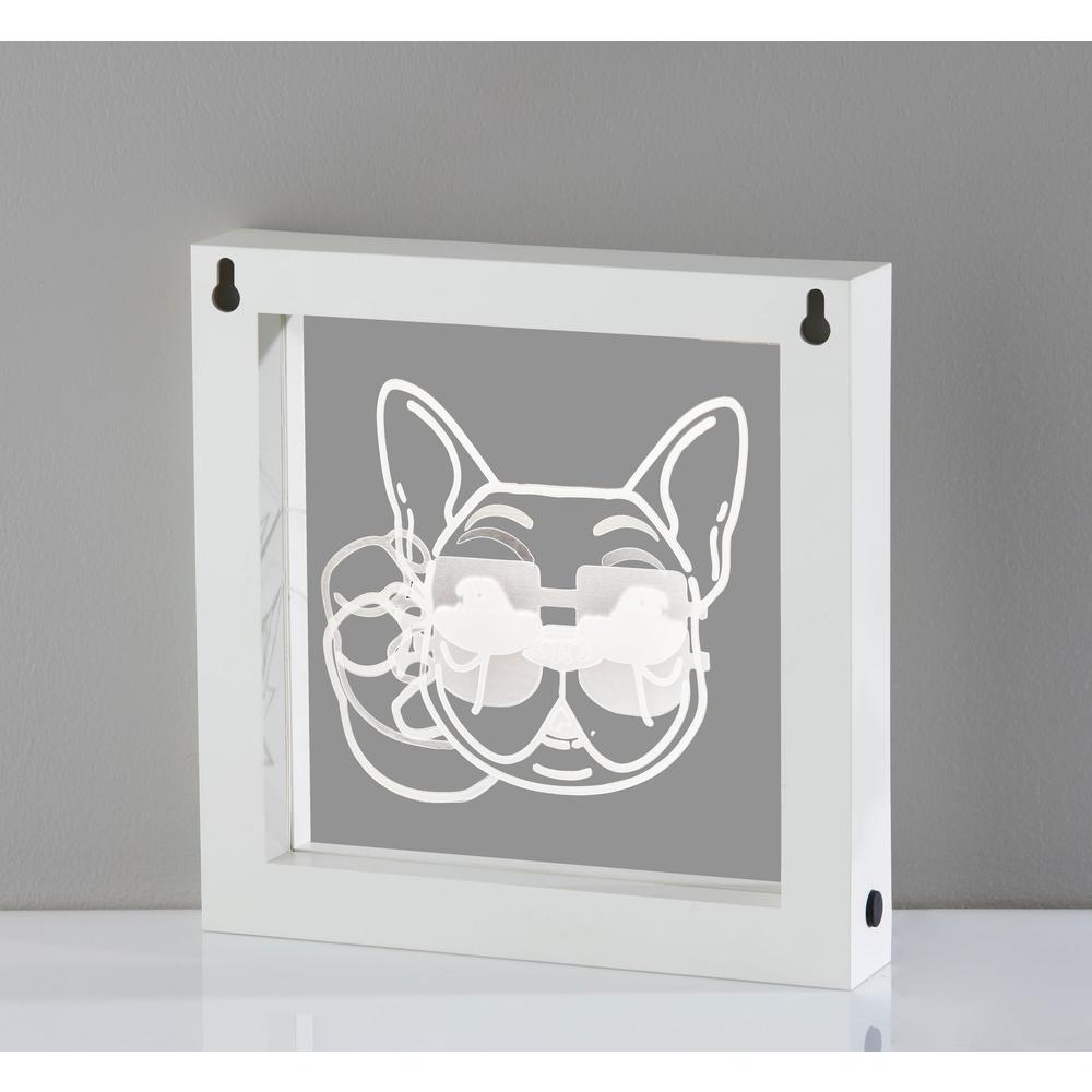 Cool Dog Video Light Box. Picture 3