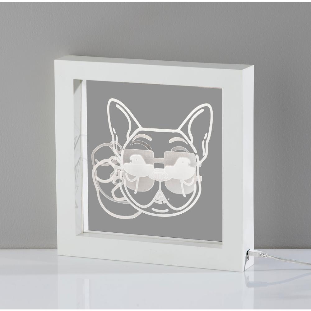 Cool Dog Video Light Box. Picture 4