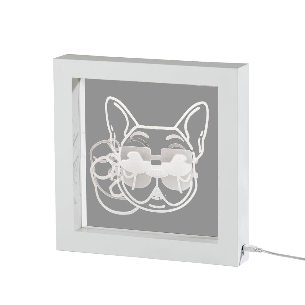 Cool Dog Video Light Box. Picture 1