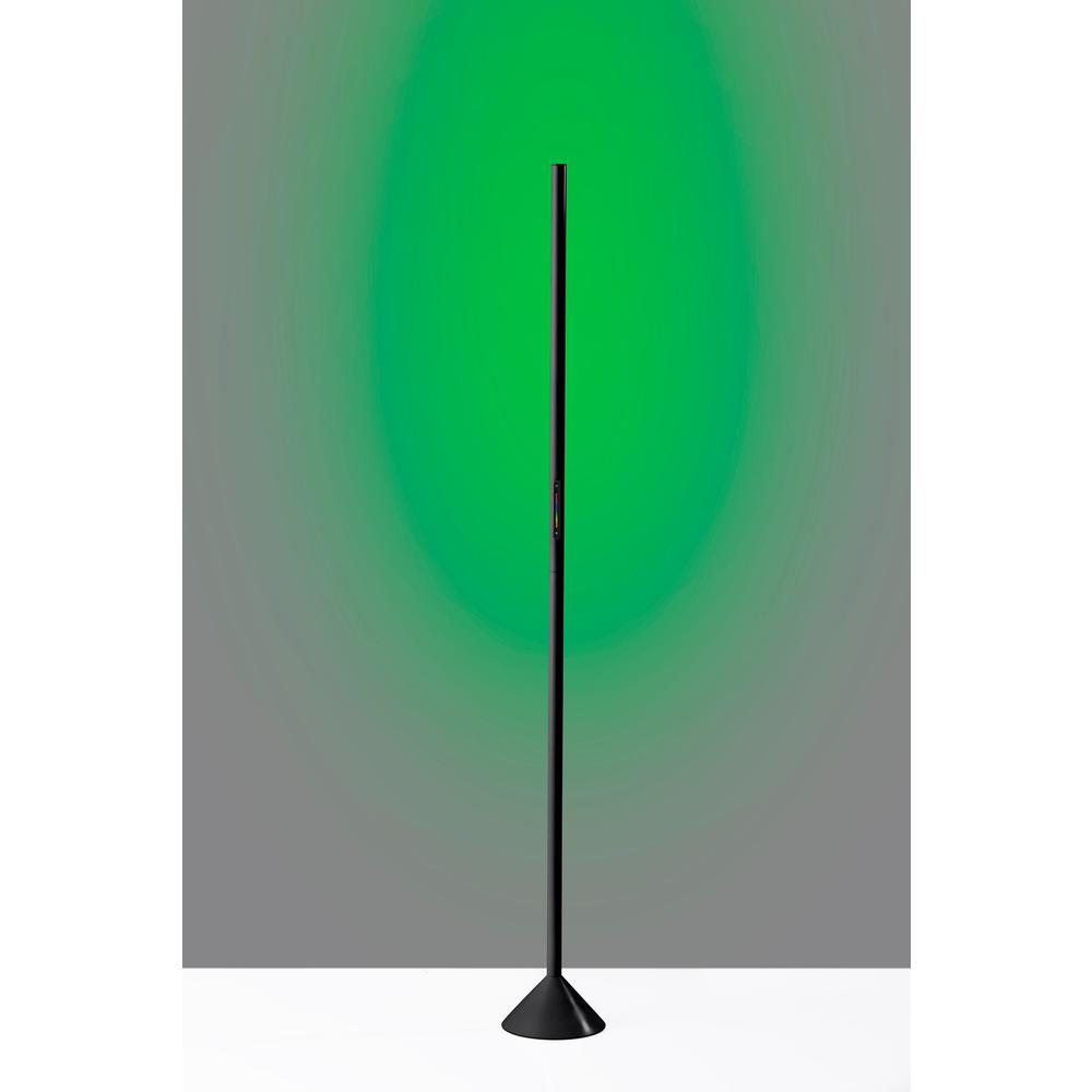 Cole LED Color Changing Wall Washer Floor Lamp. Picture 6