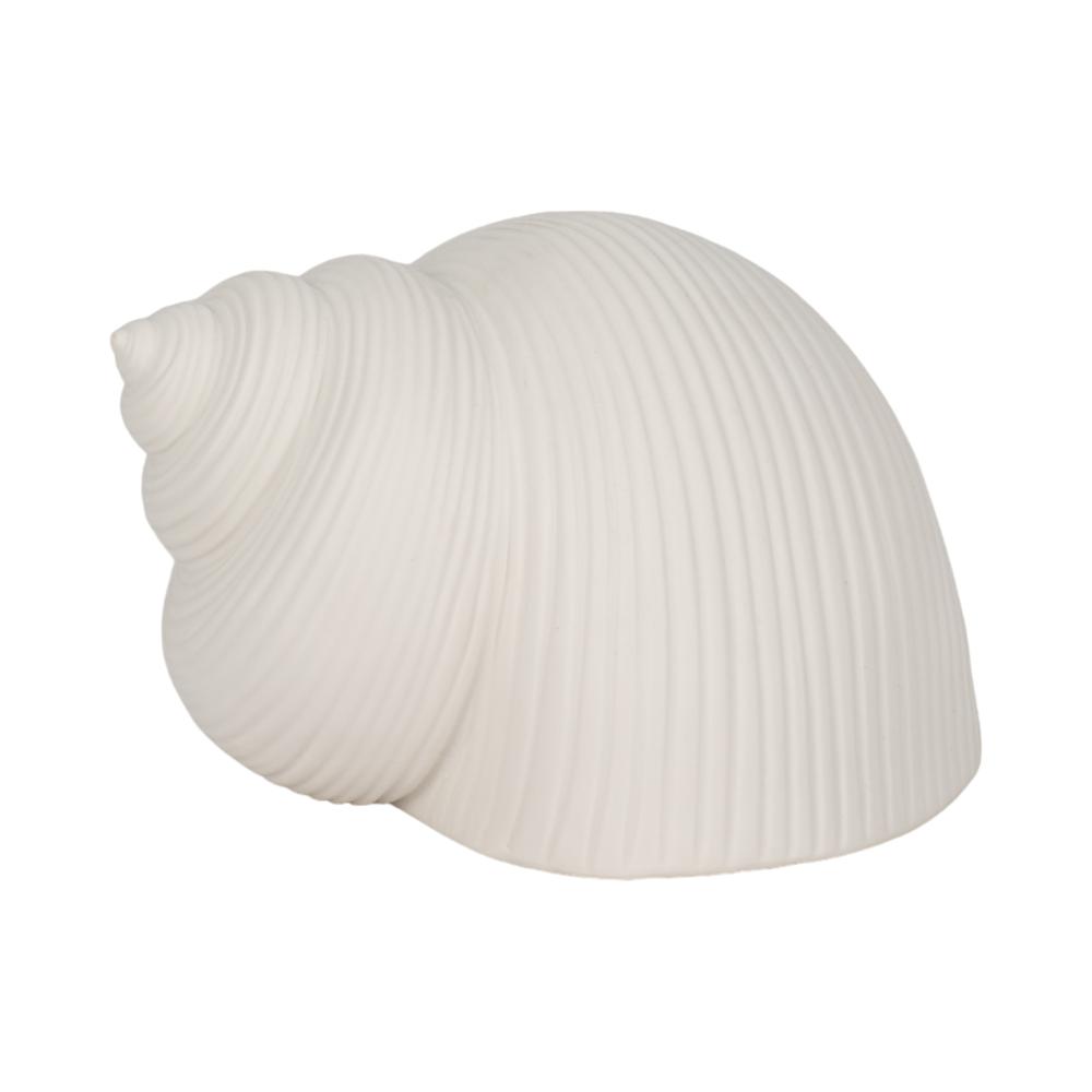 6" Bonnet Seashell, White. Picture 1