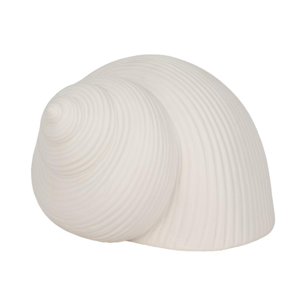 6" Bonnet Seashell, White. Picture 2