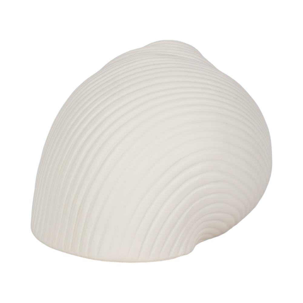 6" Bonnet Seashell, White. Picture 4