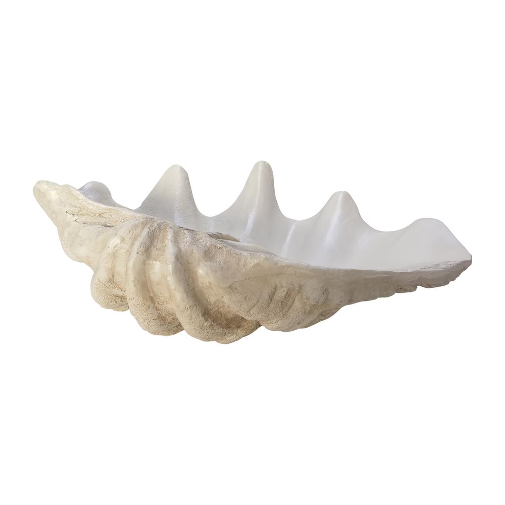 25" Pearlized Clam Shell Bowl, Ivory. Picture 1