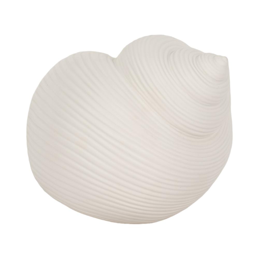 6" Bonnet Seashell, White. Picture 6