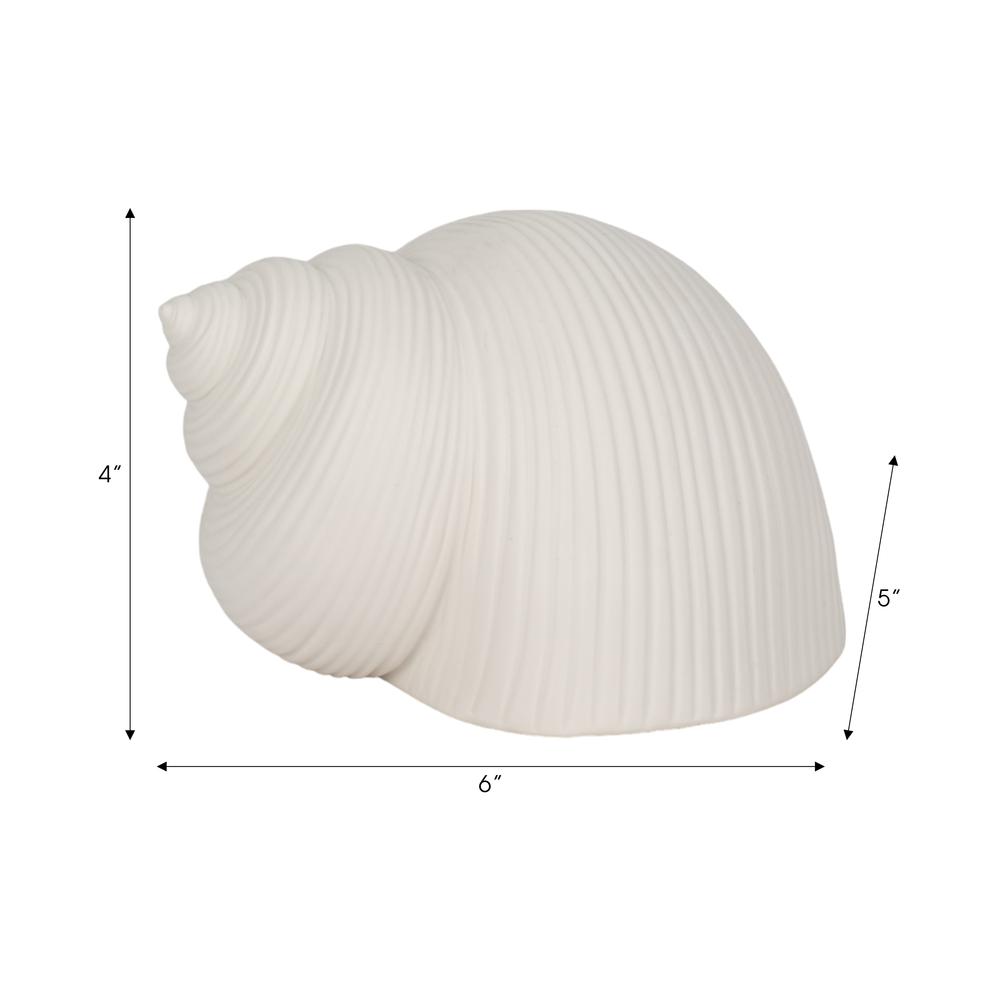 6" Bonnet Seashell, White. Picture 8