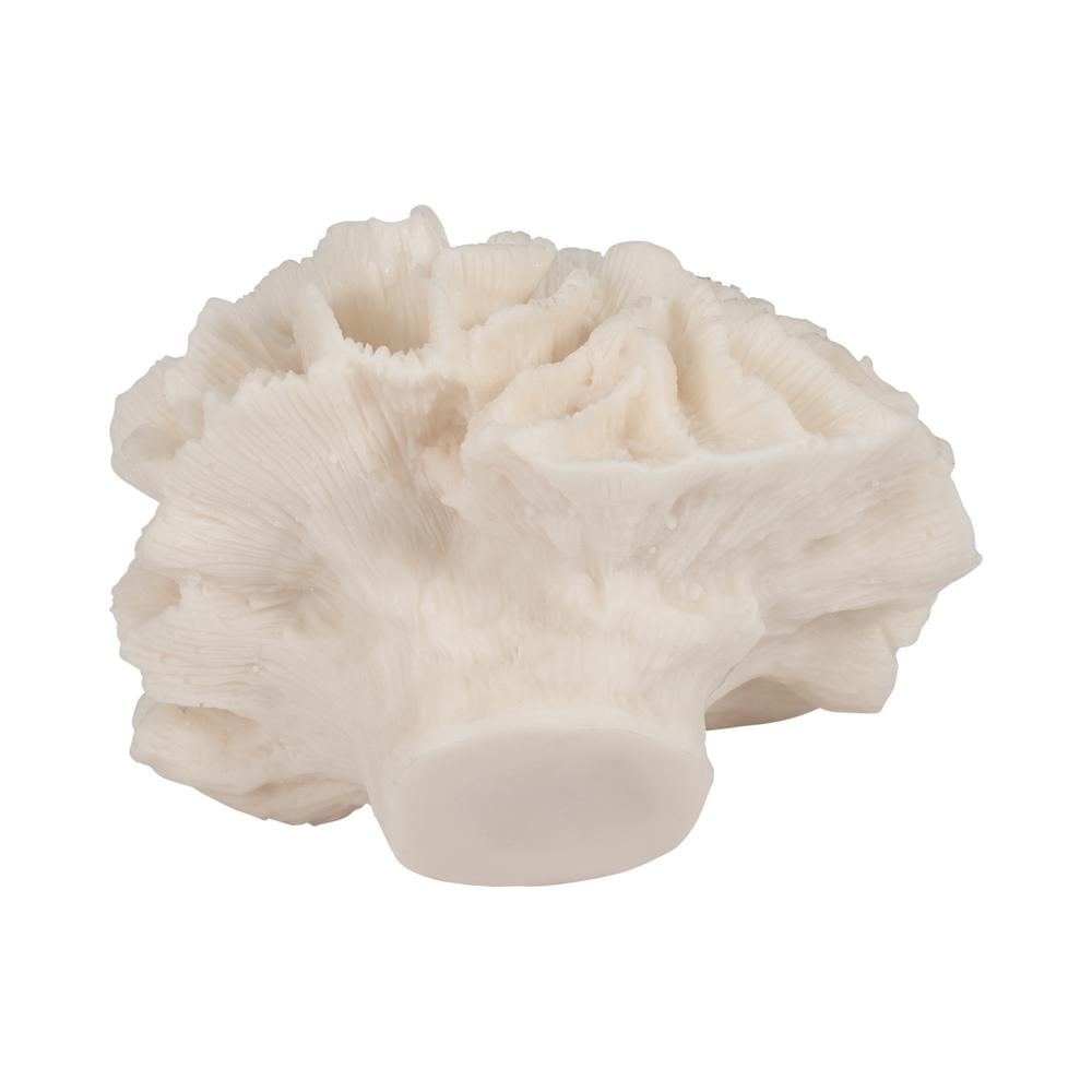 6" Petal Coral, Ivory. Picture 6