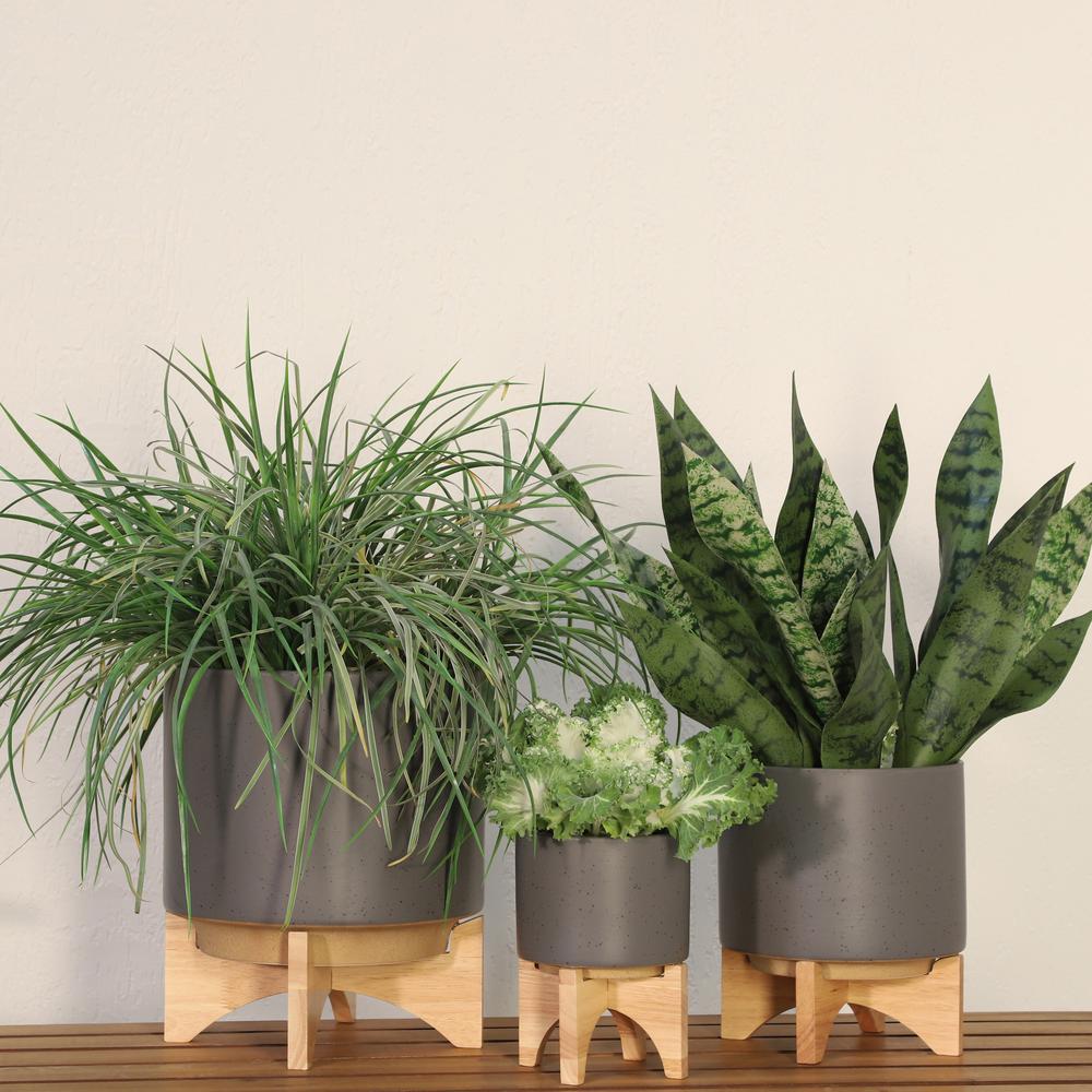 8" Planter W/ Wood Stand, Matte Gray. Picture 10