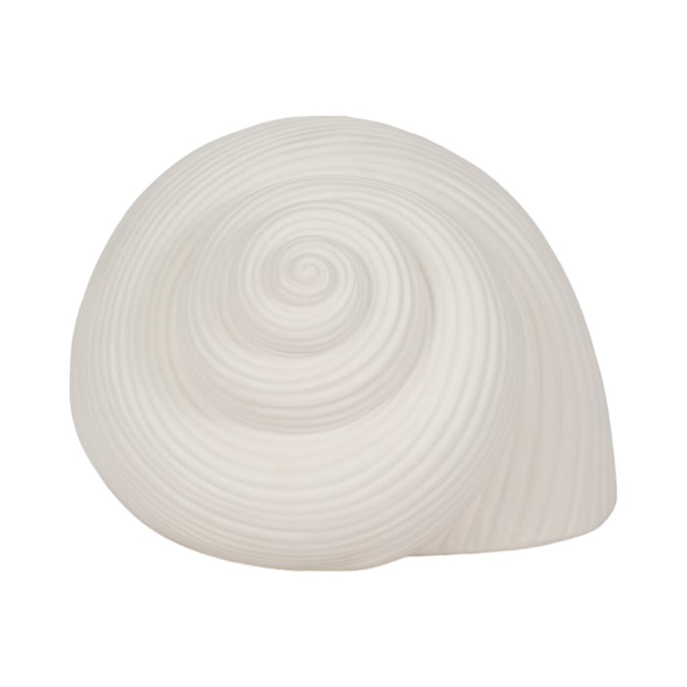 6" Bonnet Seashell, White. Picture 3