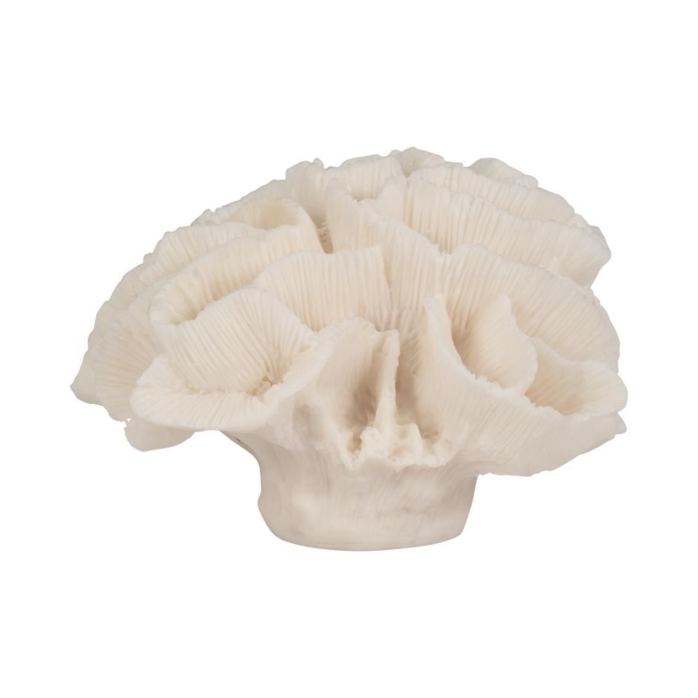 6" Petal Coral, Ivory. Picture 3