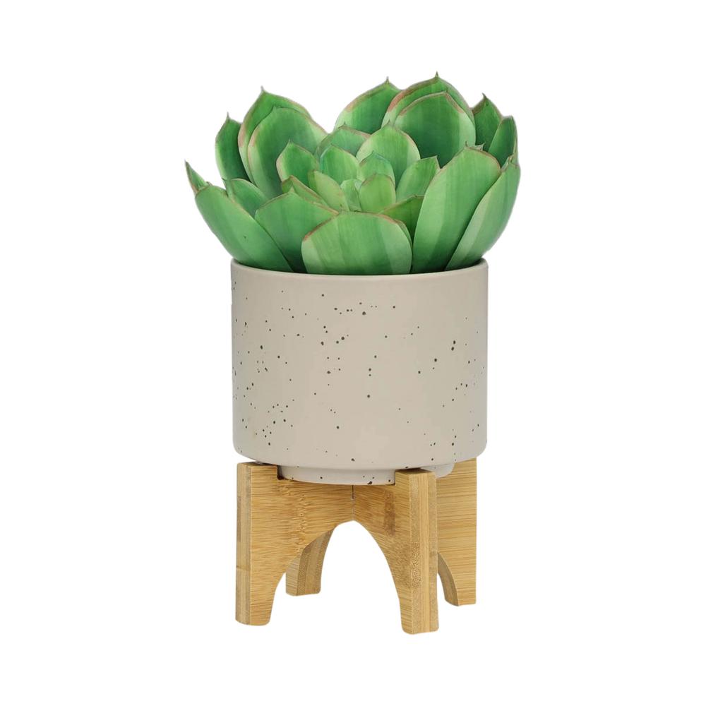 S/2 5/8" Planter W/ Wood Stand, Matte Beige. Picture 4