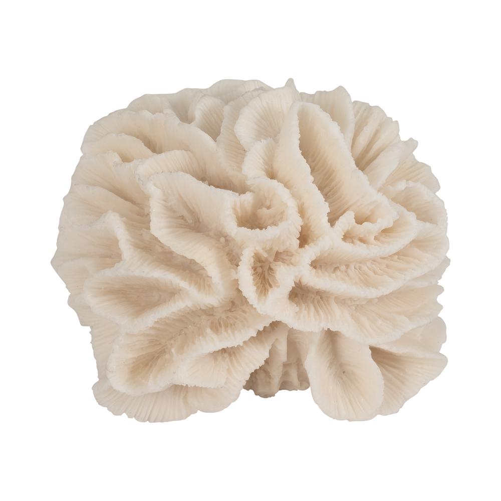 6" Petal Coral, Ivory. Picture 5