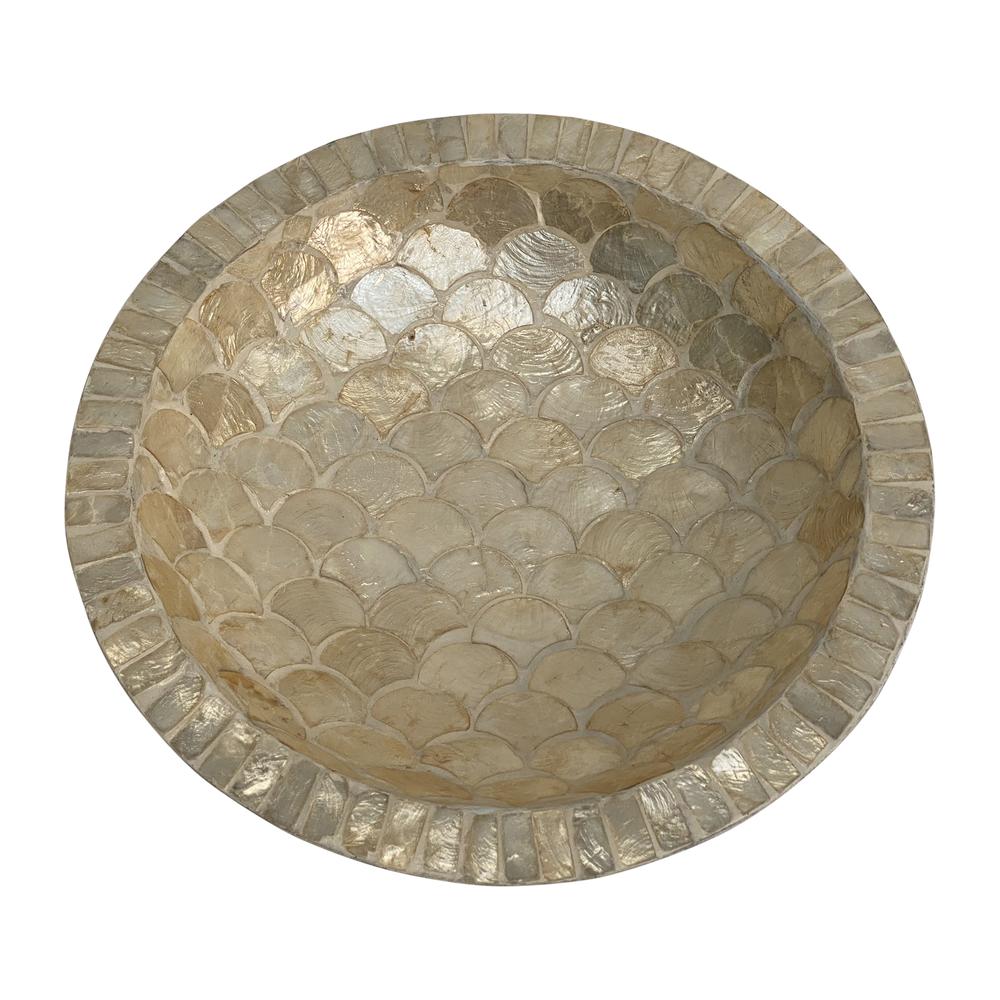 Shell,16" Decorative Bowl, Natural. Picture 3