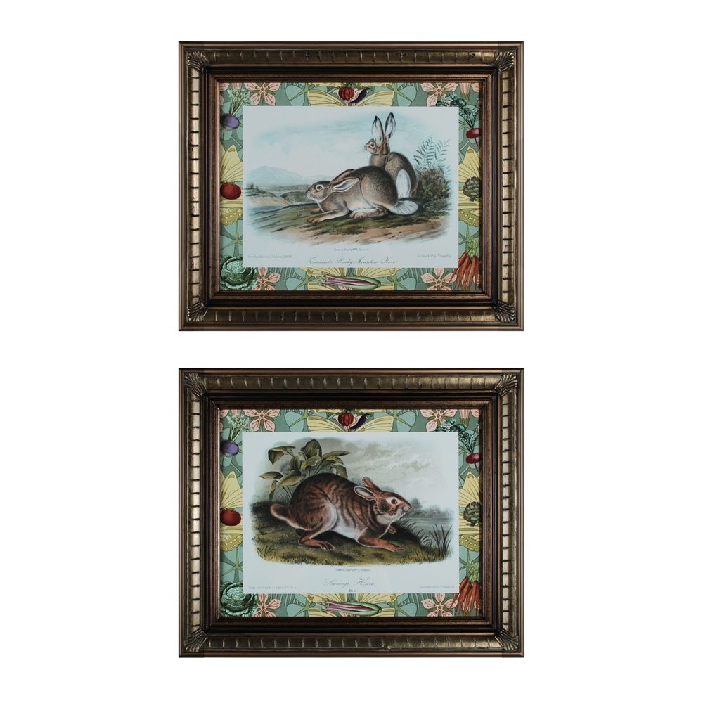 Rabbits With Border. The main picture.