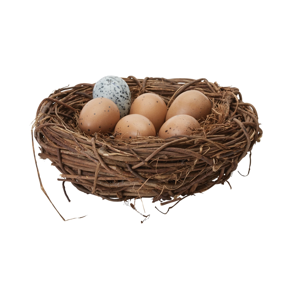 Moor Hen Eggs In Nest. Picture 1