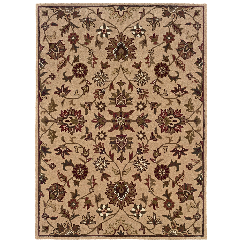 Trio Traditional TT04 8X10 Rug. Picture 1