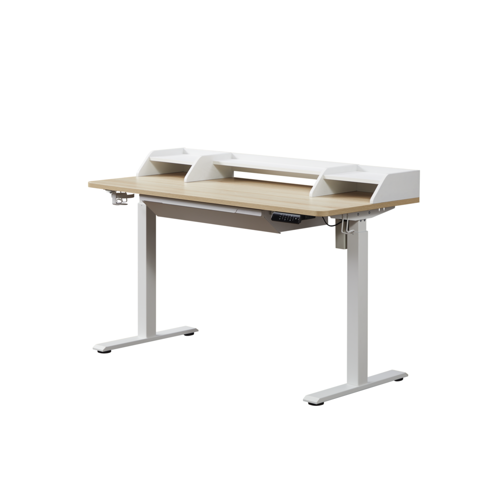55" K304 Electric Height Adjustable Standing Desk. Picture 1