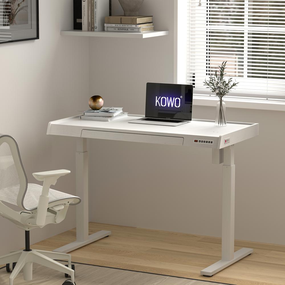48" K309 Electric Height Adjustable Standing Desk. Picture 2