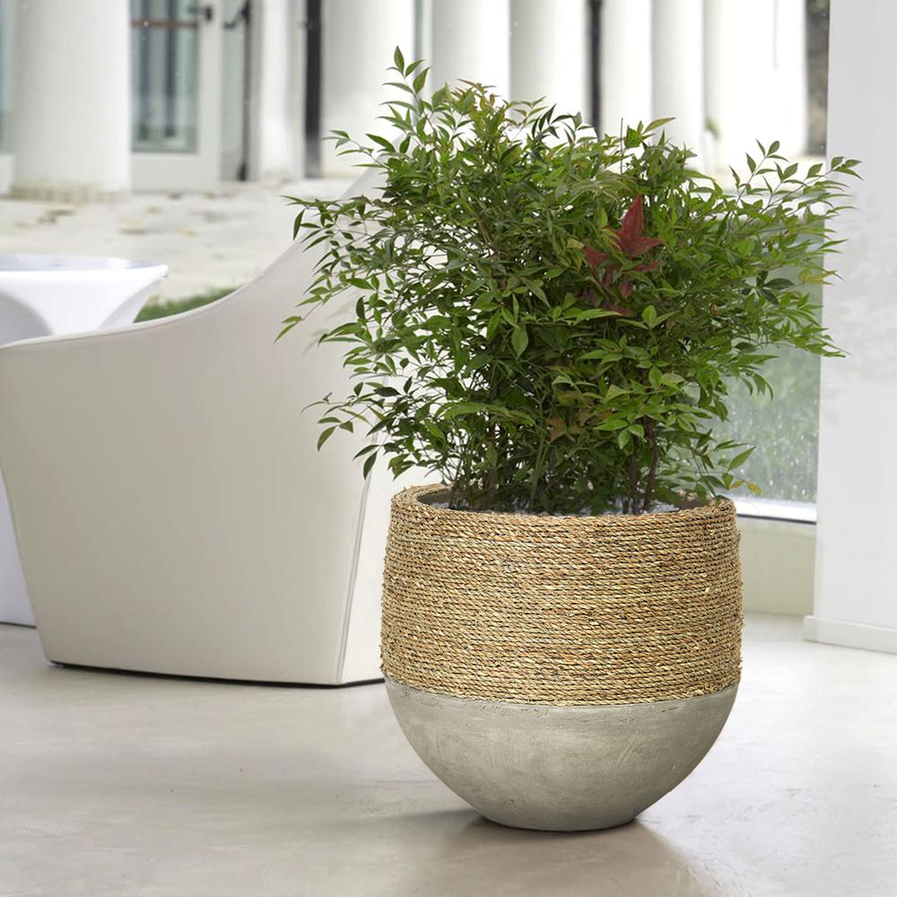Nature Mixed Grass and Concrete Pot. Picture 1