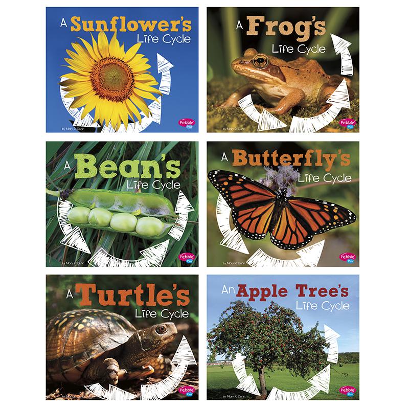Explore Life Cycles, Set of 6 books. Picture 2