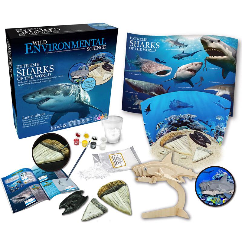 Extreme Sharks of the World For Ages 6+ Create and Customize Models and Dioramas. Picture 2