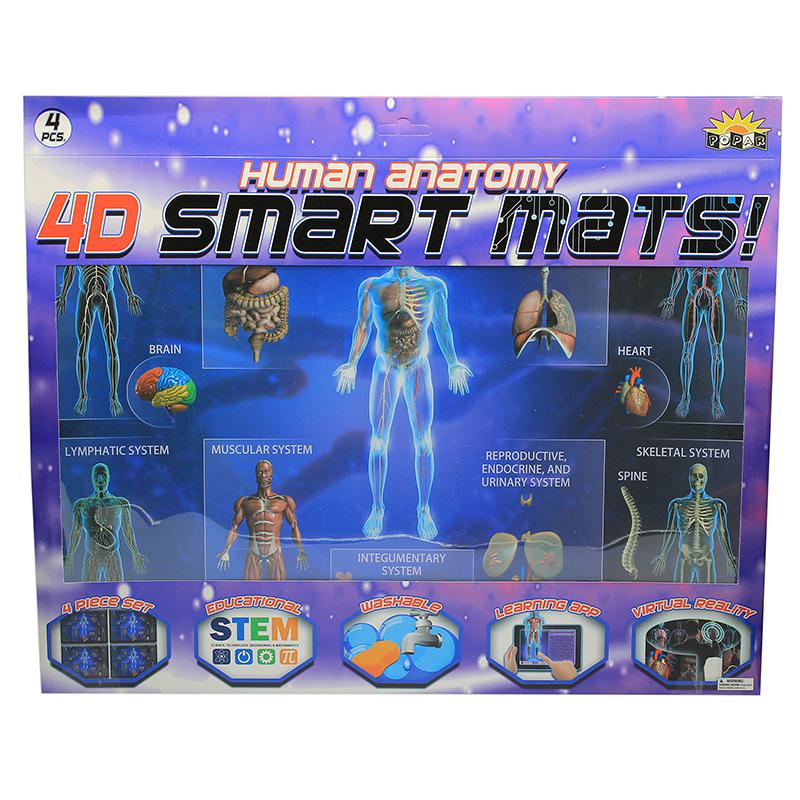 Human Anatomy Smart Mats, Set of 4. Picture 2