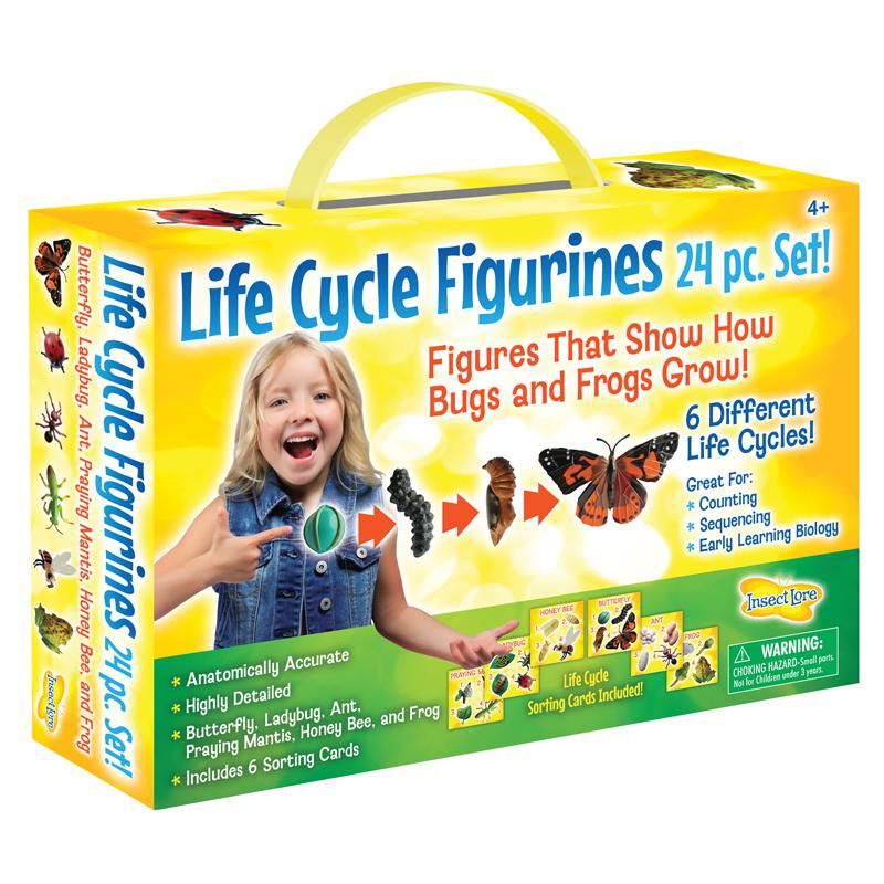 Life Cycle Figurines Set, 24 Pieces. Picture 2
