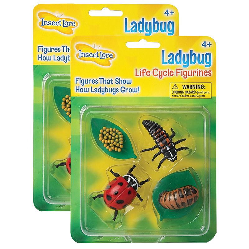 Ladybug Life Cycle Stages, 4 Per Set, 2 Sets. Picture 2