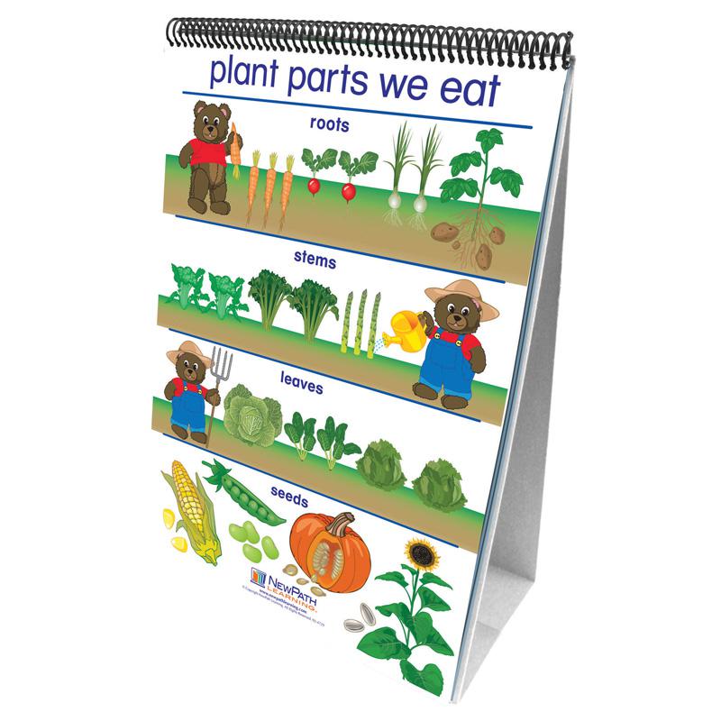 Early Childhood Science Readiness Flip Charts, All About Plants. Picture 2