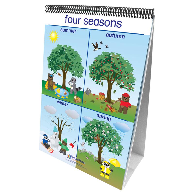 Early Childhood Science Readiness Flip Charts, Weather & Sky. Picture 2