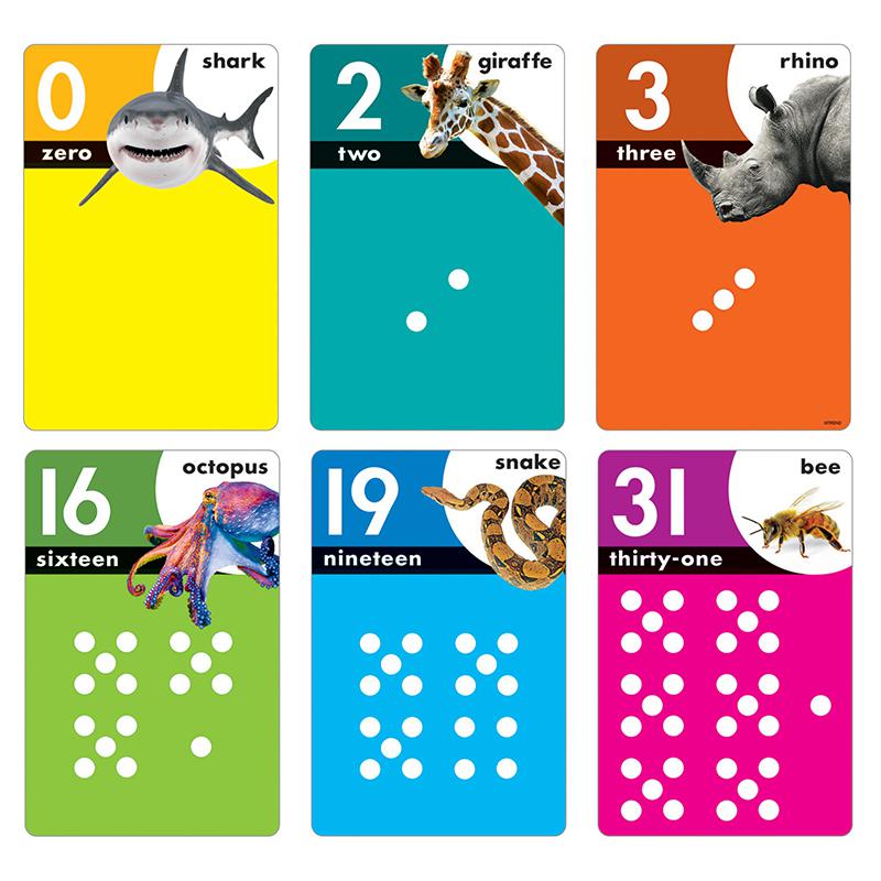 Animals Count 0-31 Learning Set. Picture 2