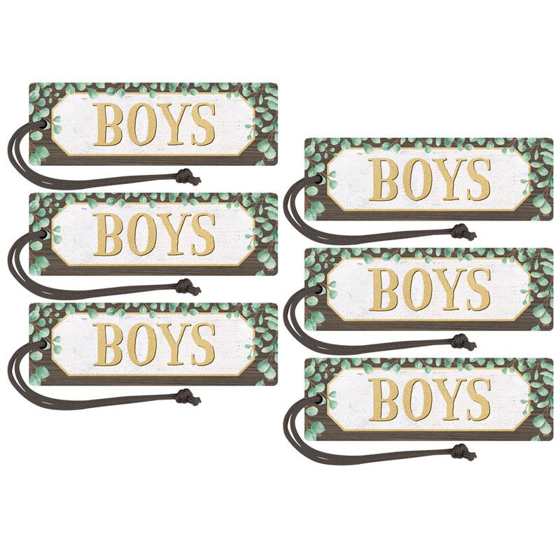 Eucalyptus Magnetic Boys Pass, Pack of 6. Picture 2