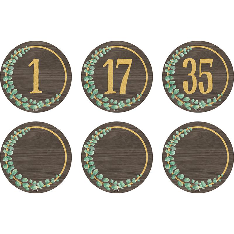 Eucalyptus Numbers Magnetic Accents, 2-1/4", 42 Per Pack, 3 Packs. Picture 2