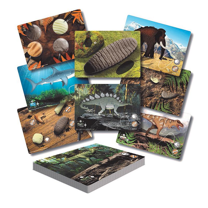 Prehistoric Teeth – Explore and Discover Activity Cards, Set of 16. Picture 2