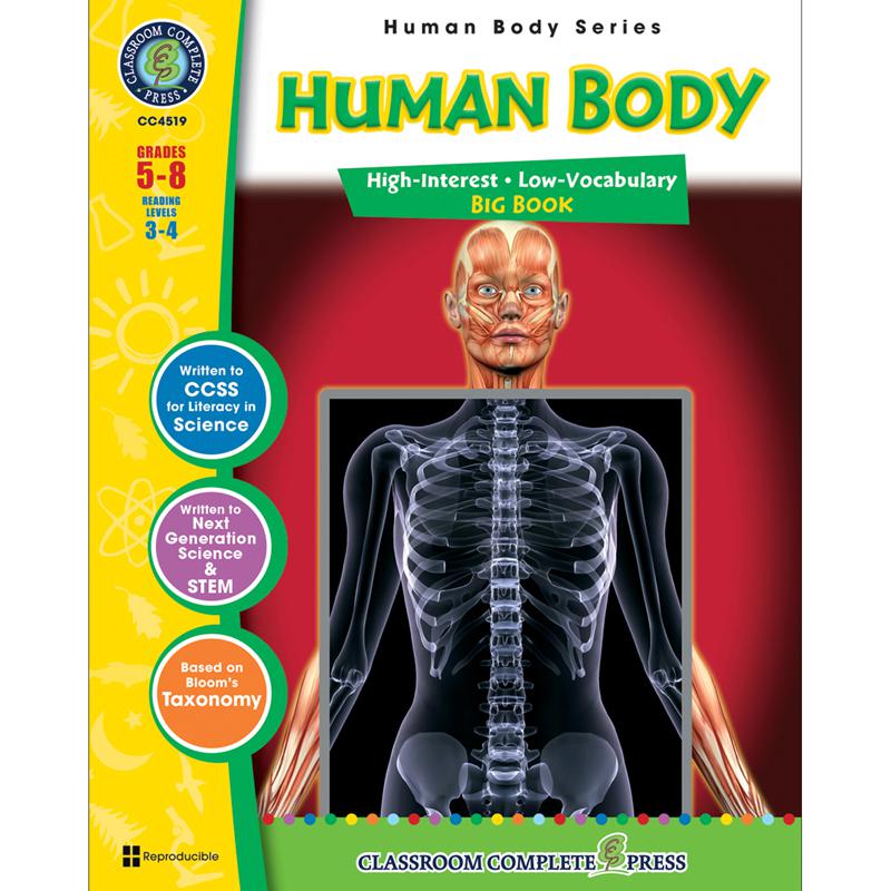 HUMAN BODY BIG BOOK. The main picture.
