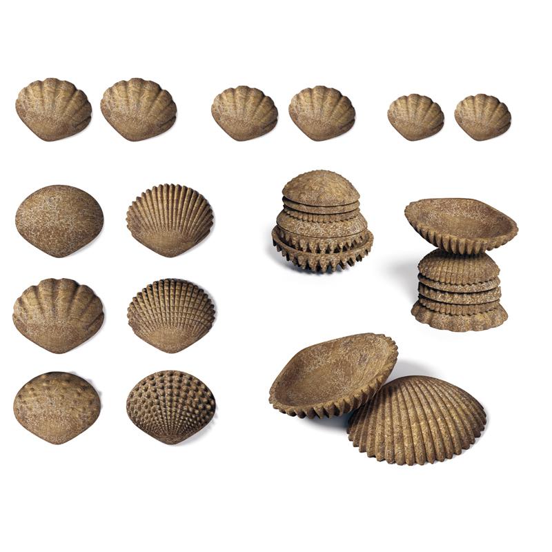 edxeducation Tactile Shells - Eco-Friendly - 36 Pieces. Picture 1